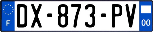 DX-873-PV