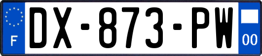 DX-873-PW