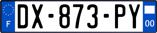 DX-873-PY