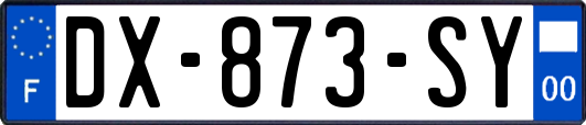 DX-873-SY