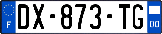 DX-873-TG