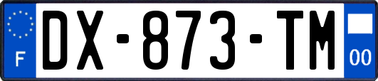 DX-873-TM