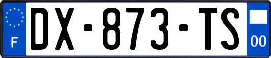 DX-873-TS