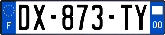 DX-873-TY