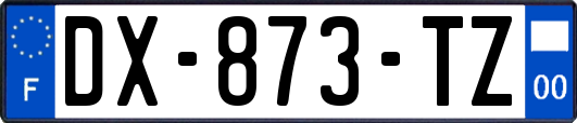 DX-873-TZ