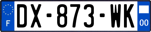 DX-873-WK