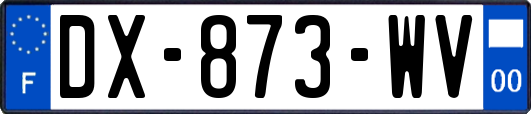 DX-873-WV