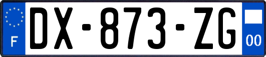 DX-873-ZG