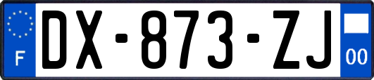 DX-873-ZJ