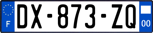 DX-873-ZQ