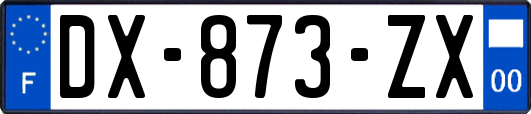 DX-873-ZX