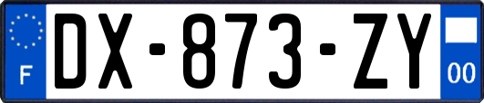 DX-873-ZY