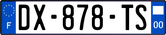 DX-878-TS