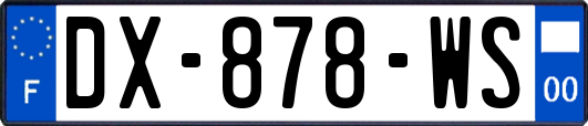 DX-878-WS