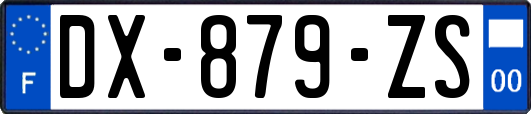 DX-879-ZS