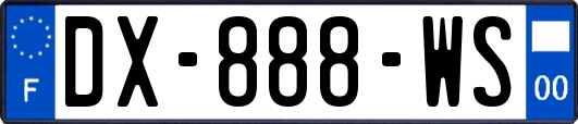 DX-888-WS