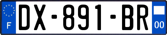 DX-891-BR