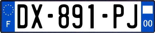 DX-891-PJ