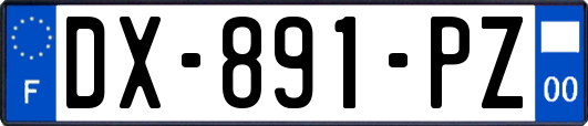 DX-891-PZ
