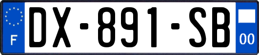 DX-891-SB