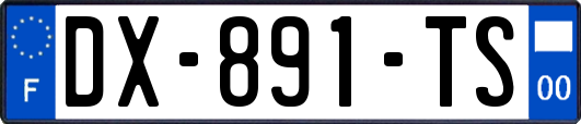 DX-891-TS