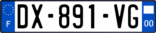 DX-891-VG
