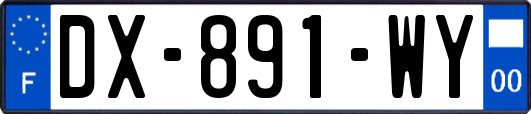 DX-891-WY