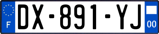 DX-891-YJ