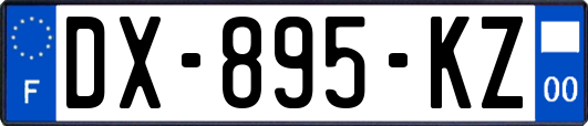 DX-895-KZ