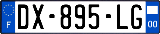 DX-895-LG