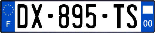 DX-895-TS