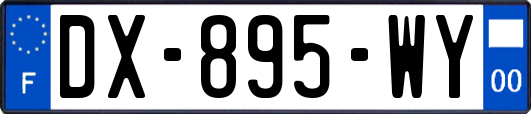 DX-895-WY