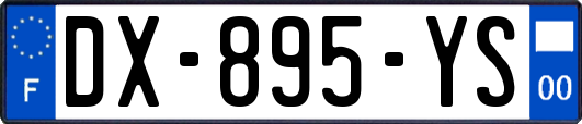 DX-895-YS