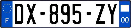 DX-895-ZY