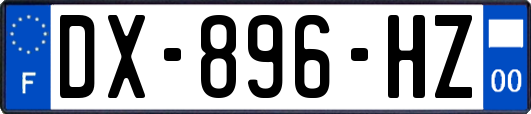 DX-896-HZ