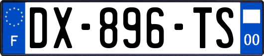DX-896-TS