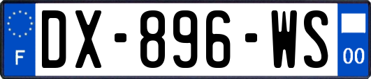 DX-896-WS