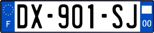 DX-901-SJ