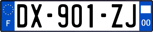 DX-901-ZJ