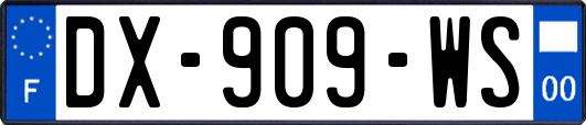 DX-909-WS