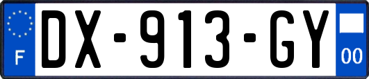 DX-913-GY