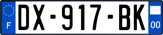 DX-917-BK