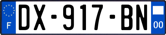 DX-917-BN