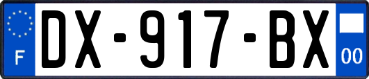 DX-917-BX