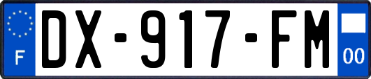 DX-917-FM