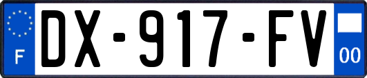 DX-917-FV