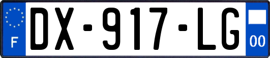 DX-917-LG