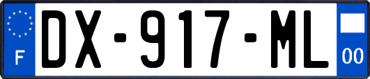 DX-917-ML