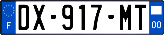 DX-917-MT