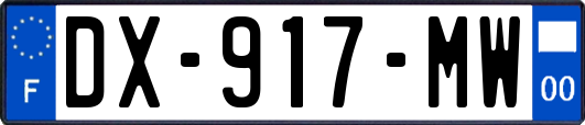 DX-917-MW